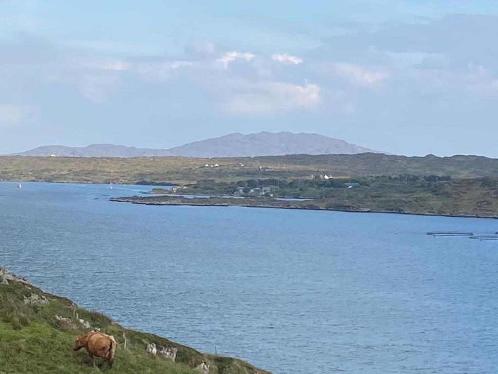 Racecourse Lodge Apartment Clifden Bagian luar foto