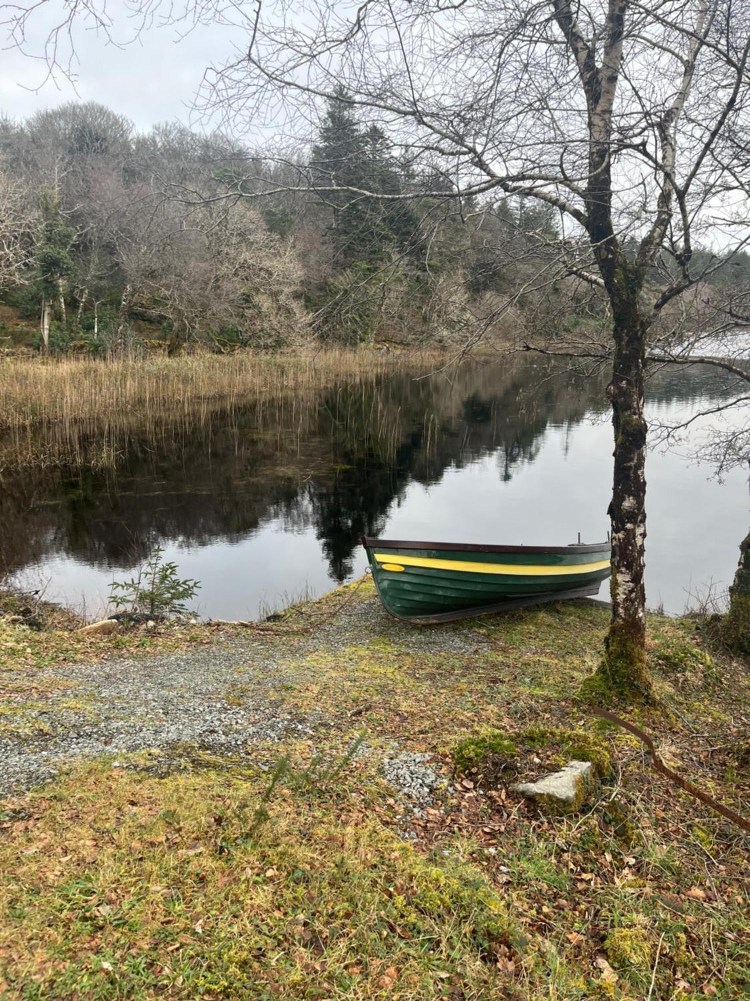 Racecourse Lodge Apartment Clifden Bagian luar foto