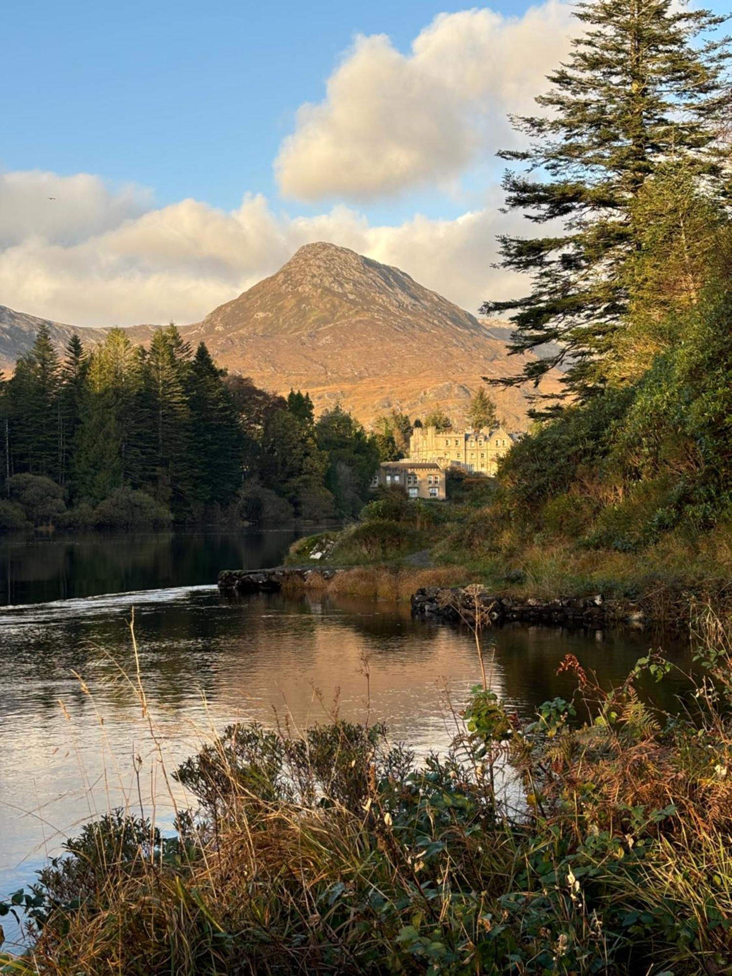 Racecourse Lodge Apartment Clifden Bagian luar foto